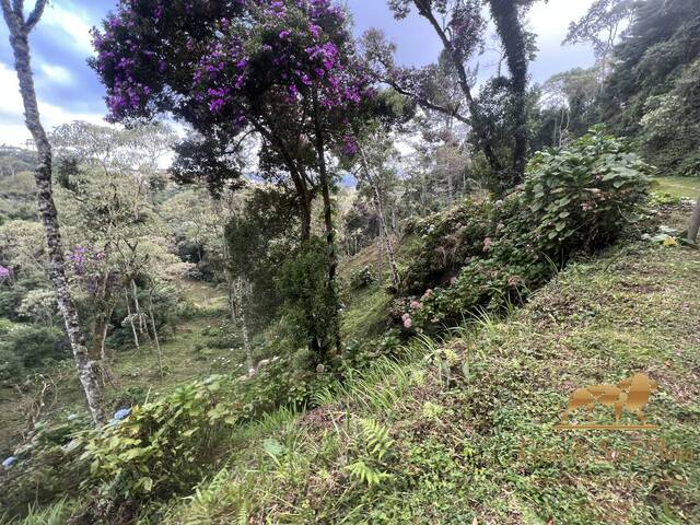 Terreno para Venda em Campos do Jordão - 1