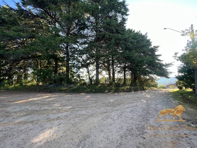 #535 - Terreno para Venda em Campos do Jordão - SP