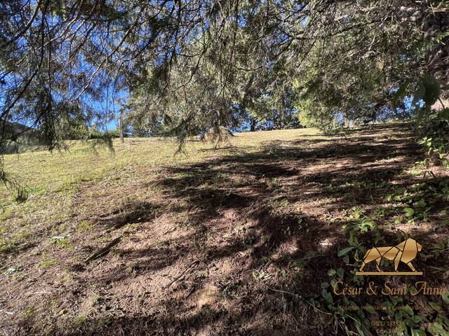 #535 - Terreno para Venda em Campos do Jordão - SP