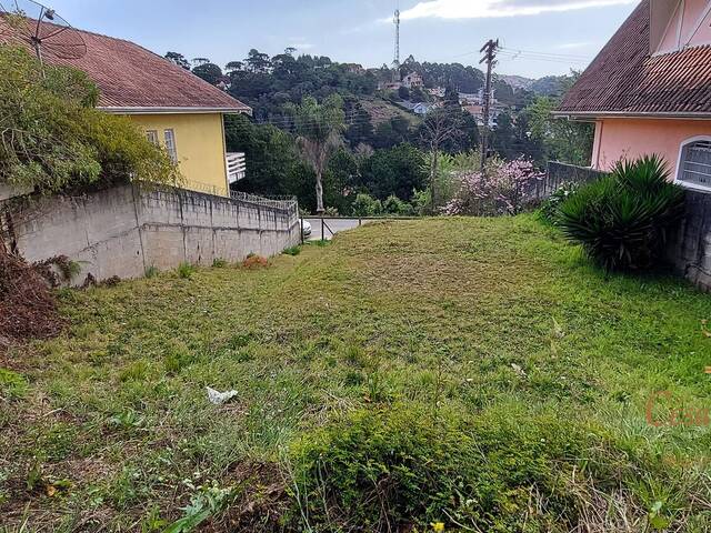 Venda em Serra Azul - Campos do Jordão