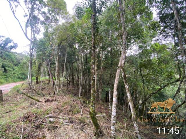 Venda em Alataia - Campos do Jordão