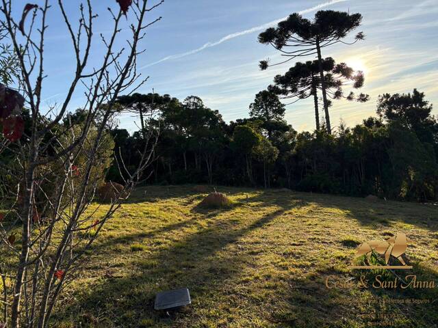 #788 - Terreno em condomínio para Venda em Campos do Jordão - SP - 1