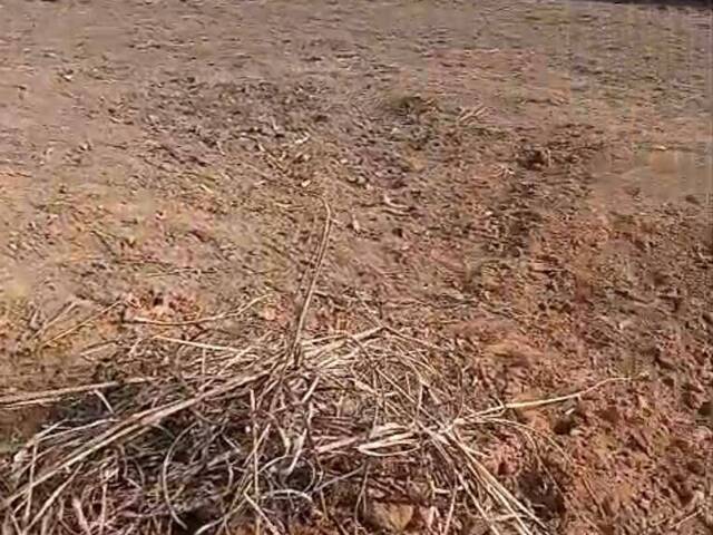 Terreno para Venda em Campos do Jordão - 5