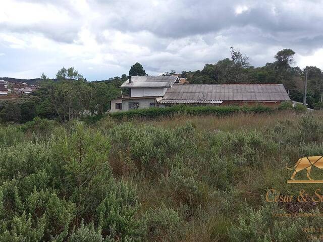 Venda em Jardim Elisabeth - Campos do Jordão