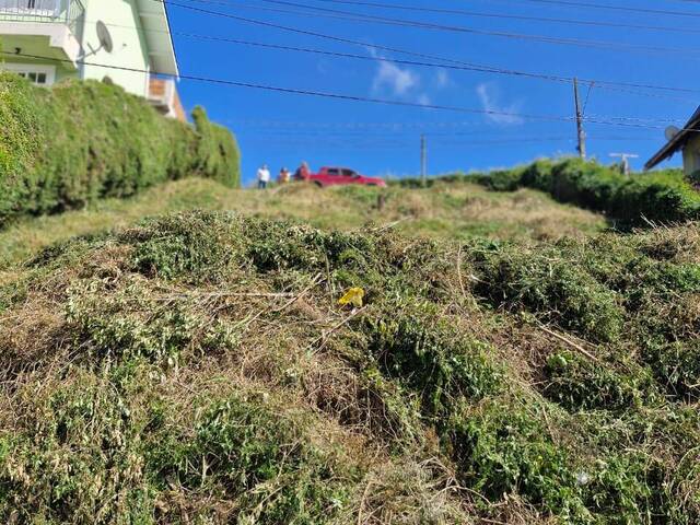 Terreno para Venda em Campos do Jordão - 3