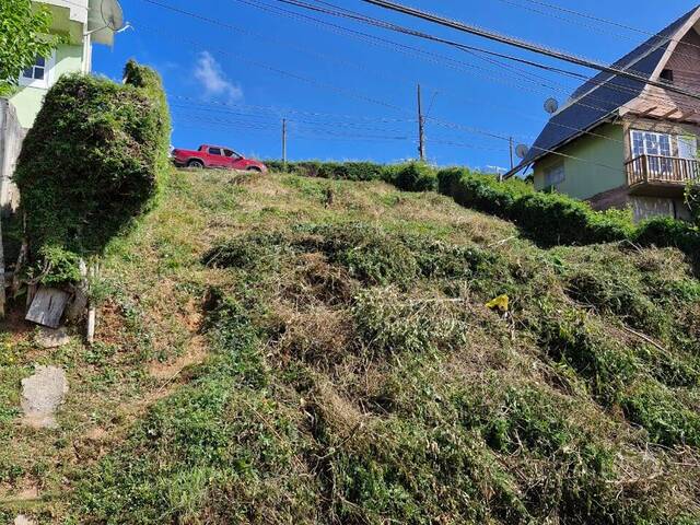 Terreno para Venda em Campos do Jordão - 4