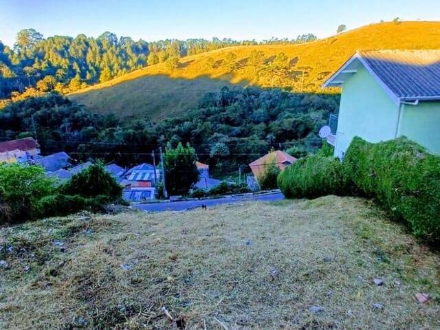 Venda em Monte Carlo - Campos do Jordão