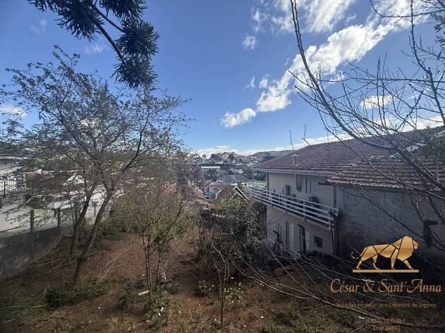 #795 - Terreno para Venda em Campos do Jordão - SP - 1