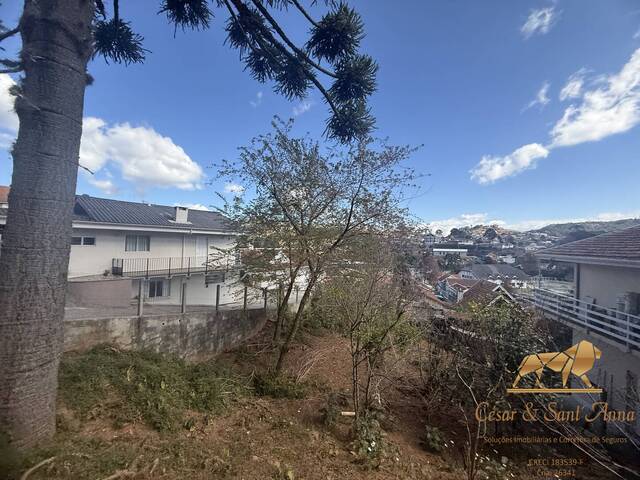 #795 - Terreno para Venda em Campos do Jordão - SP - 2