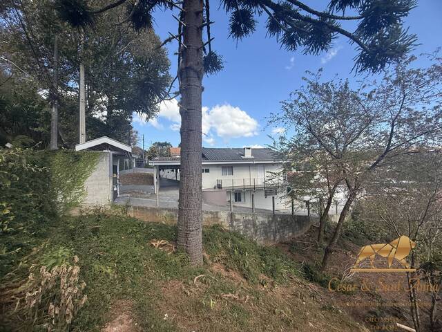 #795 - Terreno para Venda em Campos do Jordão - SP - 3