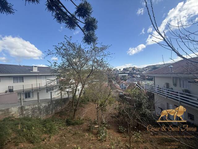 Terreno para Venda em Campos do Jordão - 4