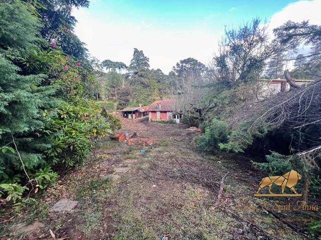 Terreno para Venda em Campos do Jordão - 3
