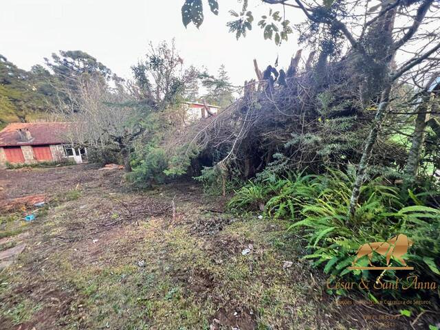 Terreno para Venda em Campos do Jordão - 5