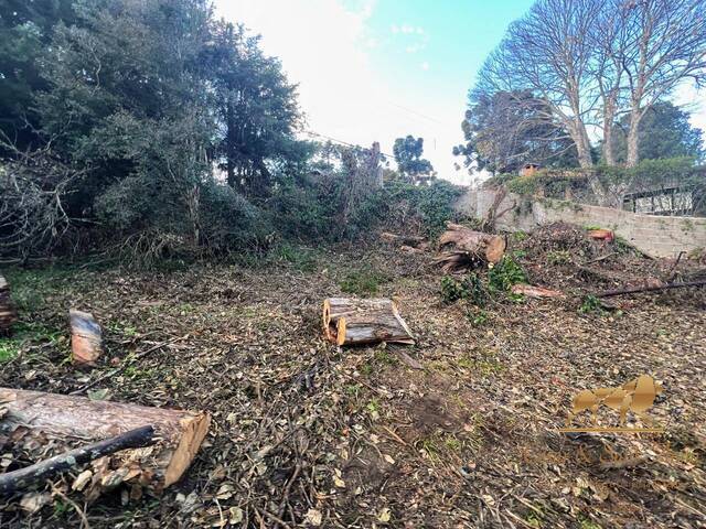Terreno para Venda em Campos do Jordão - 4