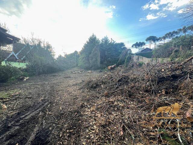 Terreno para Venda em Campos do Jordão - 2