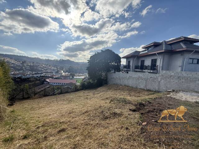 #802 - Terreno para Venda em Campos do Jordão - SP - 1