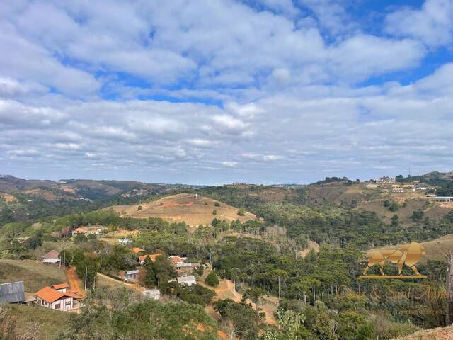 Terreno para Venda em Campos do Jordão - 3