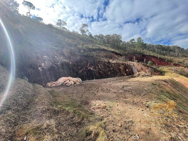 Terreno para Venda em Campos do Jordão - 5