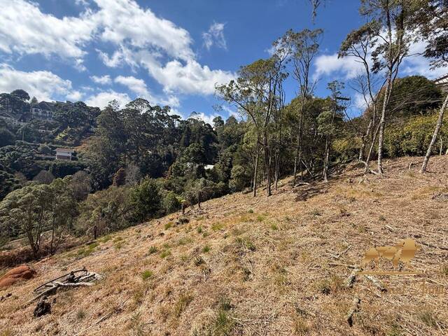 Terreno para Venda em Campos do Jordão - 4