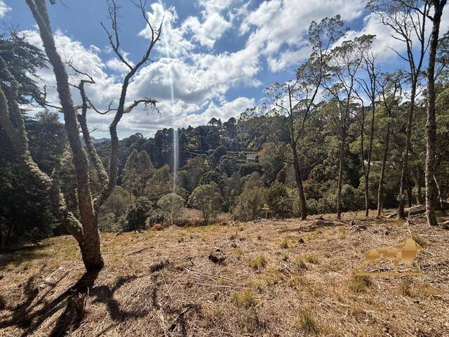 Terreno para Venda em Campos do Jordão - 3