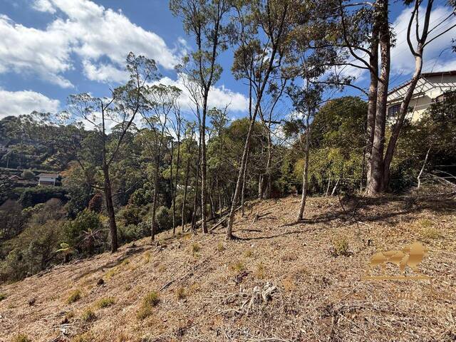 Terreno para Venda em Campos do Jordão - 2