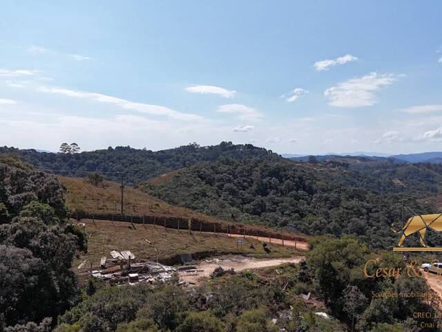 #814 - Terreno para Venda em Campos do Jordão - SP - 2