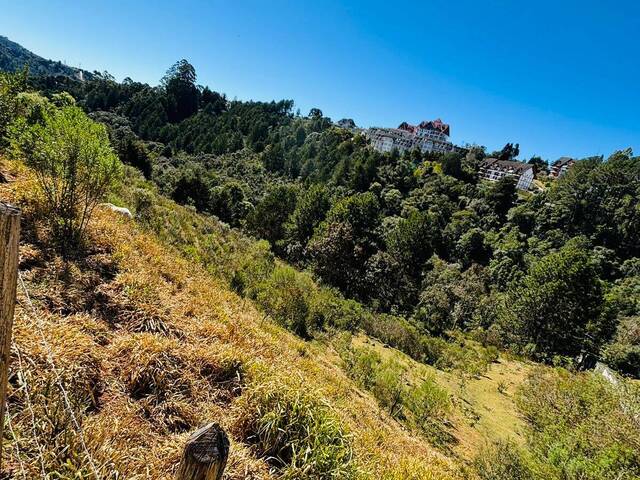 #817 - Terreno para Venda em Campos do Jordão - SP - 2