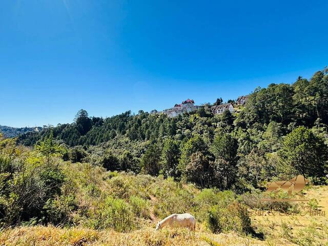 Terreno para Venda em Campos do Jordão - 4