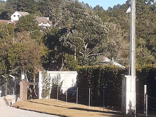 #819 - Terreno para Venda em Campos do Jordão - SP - 3