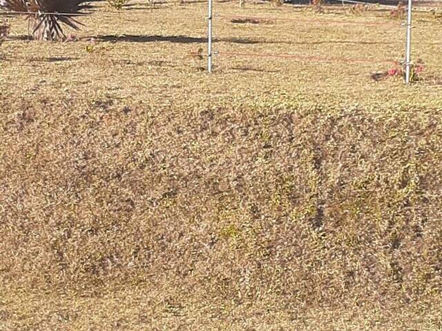 Terreno para Venda em Campos do Jordão - 4