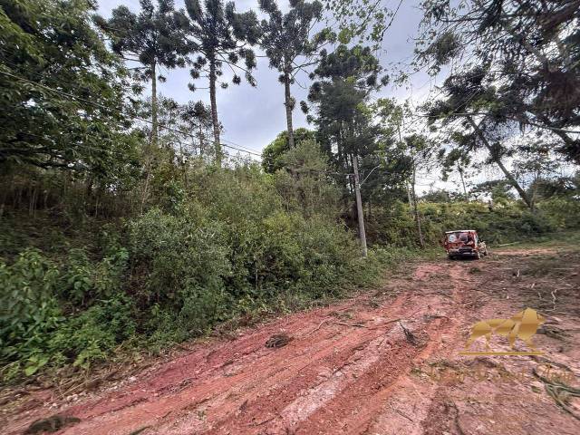 Venda em Floresta Negra - Campos do Jordão