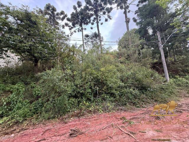 Terreno para Venda em Campos do Jordão - 3