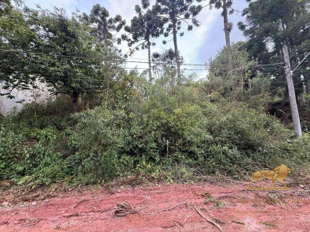 Terreno para Venda em Campos do Jordão - 4