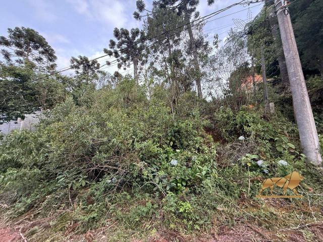 Terreno para Venda em Campos do Jordão - 5