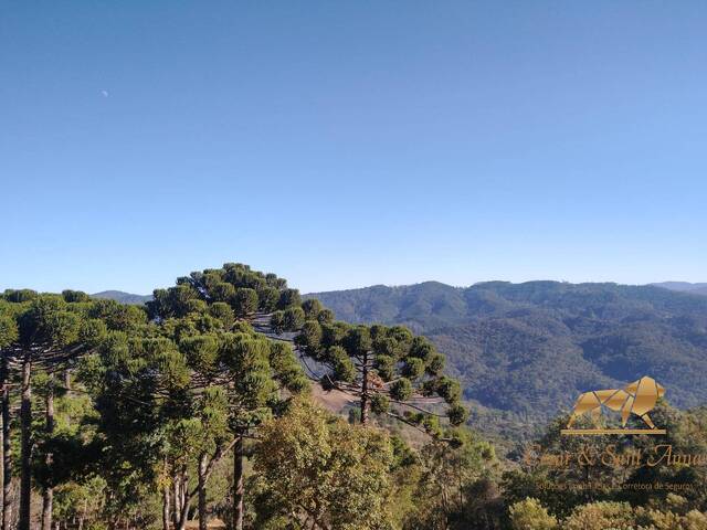Terreno para Venda em Campos do Jordão - 4