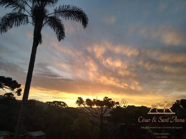 Terreno para Venda em Campos do Jordão - 5