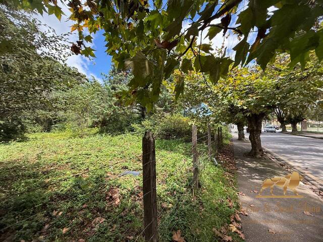 Locação em Abernéssia - Campos do Jordão