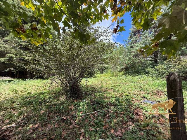#831 - Terreno para Locação em Campos do Jordão - SP