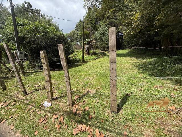 #831 - Terreno para Locação em Campos do Jordão - SP