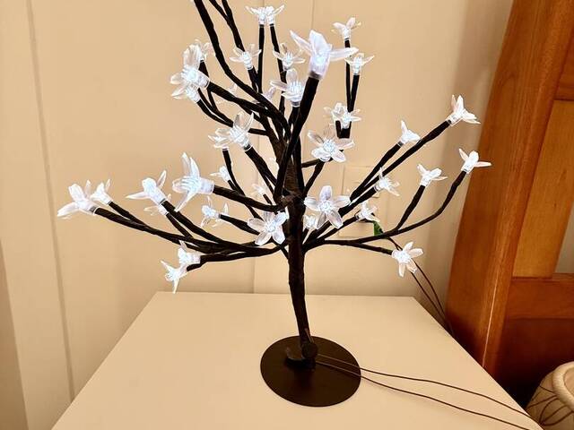 Apartamento para Venda em Campos do Jordão - 5