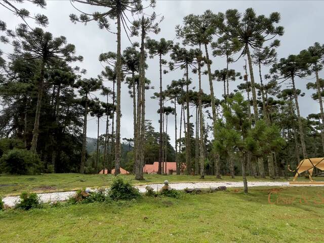 Casa para Venda em Campos do Jordão - 4