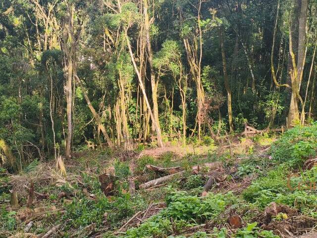#871 - Terreno para Venda em Campos do Jordão - SP - 3