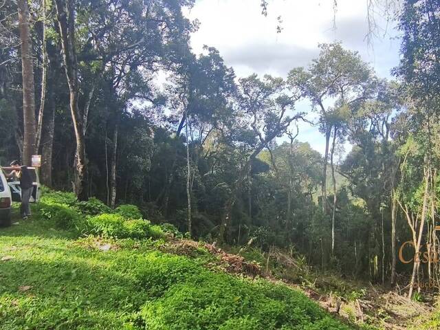 Terreno para Venda em Campos do Jordão - 4