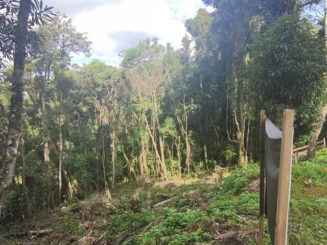 Terreno para Venda em Campos do Jordão - 5