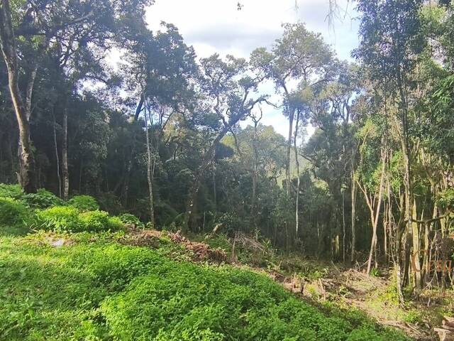 Venda em Parque Pedra do Baú - Campos do Jordão