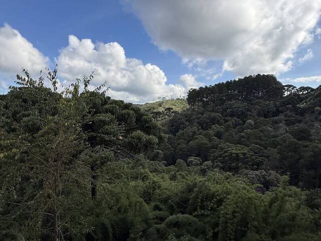 Apartamento para Venda em Campos do Jordão - 2