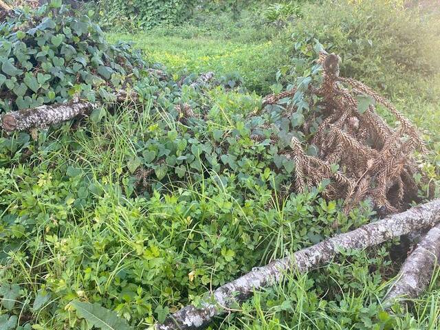 Terreno para Venda em Campos do Jordão - 2