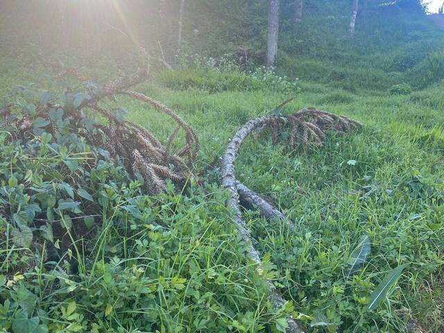 Terreno para Venda em Campos do Jordão - 3