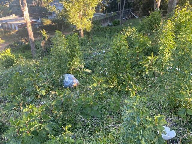 Terreno para Venda em Campos do Jordão - 5