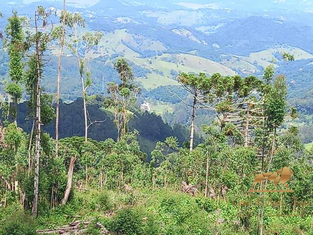 #890 - Área para Venda em Campos do Jordão - SP - 2
